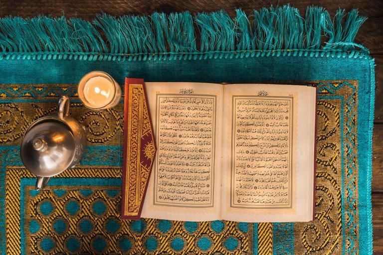 Der Koran wie Imam Ali ihn laut Nahdschul Balagha beschreibt